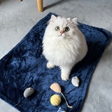索尼官方管道工