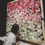 D_xiao