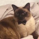 从一而终