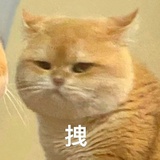 √七