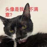 黑三斤