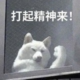 小狗养乐多