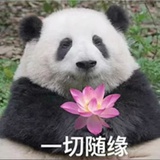 守望星辰