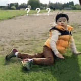 没回复不日常