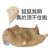 抓马西瓜yyds