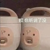 和猪讲不通道理