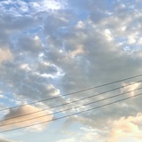 沉页