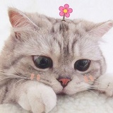 姜贞羽