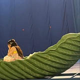 快乐网民小魏