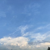 那是风