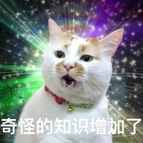 已注销