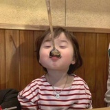 布鲁小猪