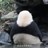 胖胖哒