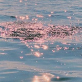 静待星海