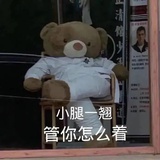 喵喵爱吃饭