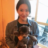 提灯杀公猪