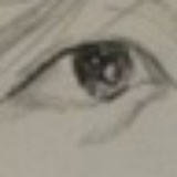 茶