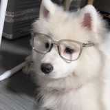 一勺白糖