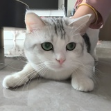 快别睡了