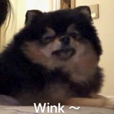 BwinwithLuv