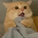 谎言大爷LL–