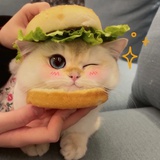 阿卡姆在逃公主