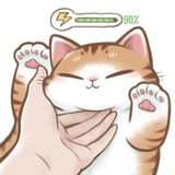 momo酱