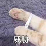 白白