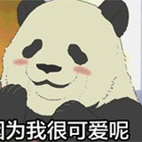 国家保护动物