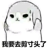 又摘桃花换酒钱