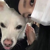 7号收音机