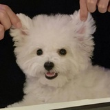圈圈圆圆圈圈