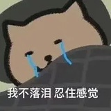 电音茉莉花