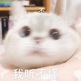 tt今天在干嘛_