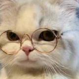 栖明