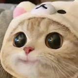 就是爱吐槽怎样