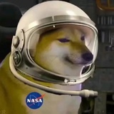 珀尔契伊
