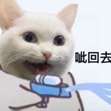 喵～
