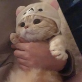 Corallulu