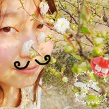 西里