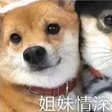 旧梦晚安