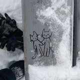 mikk