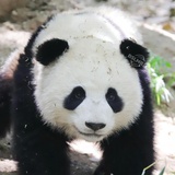 每日一OK