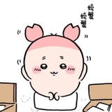 immomo