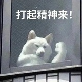 过期大狗