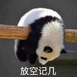 旷野的油菜