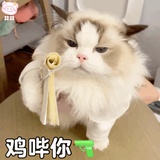 豆包拿钢