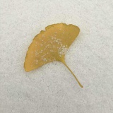 玛卡巴卡