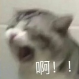 不想工作想摆烂
