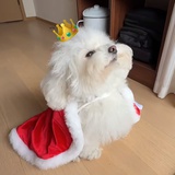 思思呀